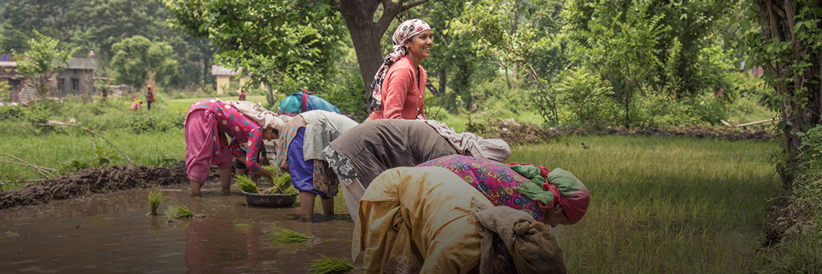Climate Solutions Need Women at the Center hero image