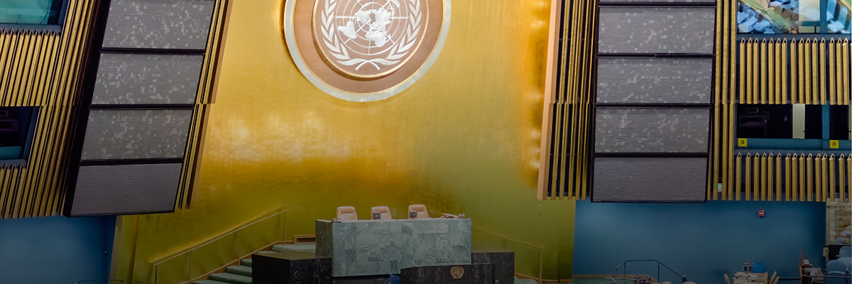 Happy Birthday to Your Human Rights! hero image