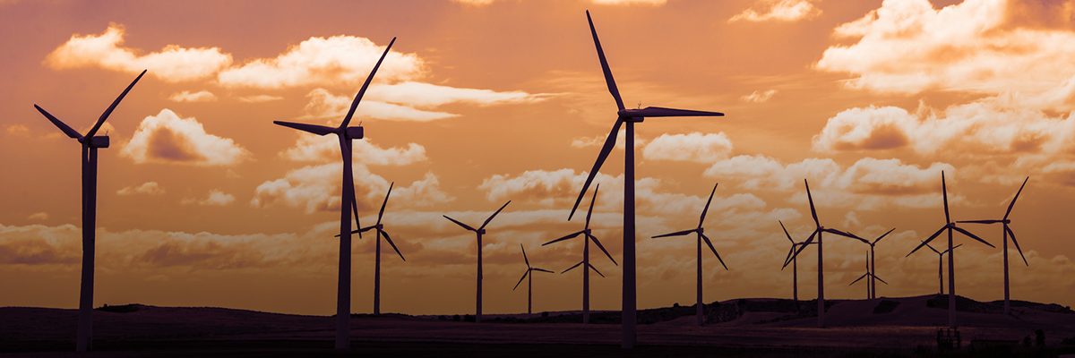 COP24 Set the Rules of the Road; Now We All Have to Drive hero image