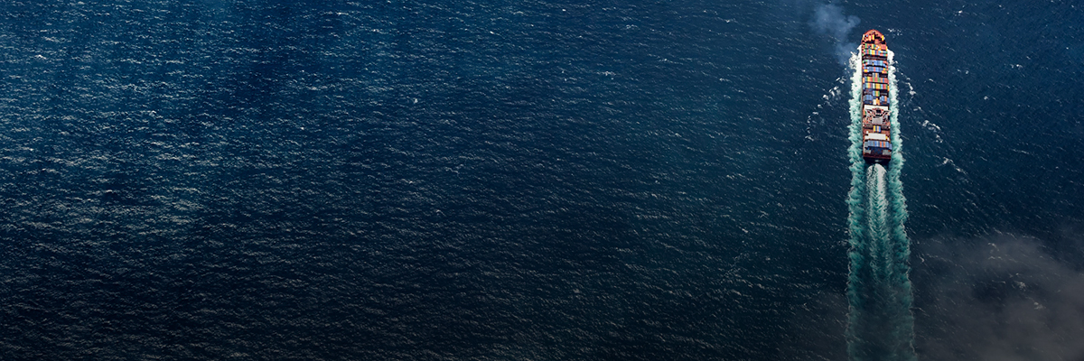 The Maritime Anti-Corruption Network: More Members, More Action, More Impact hero image