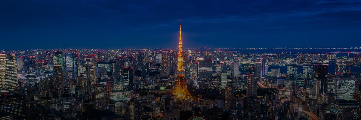 Financial Services: Progress and Opportunities for Responsible Investing in Japan