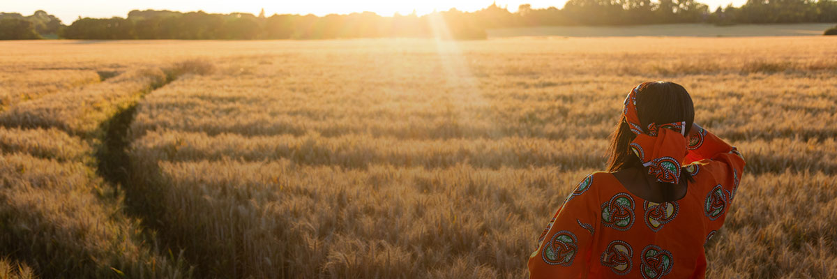 Blockchain through the Whole Supply Chain hero image