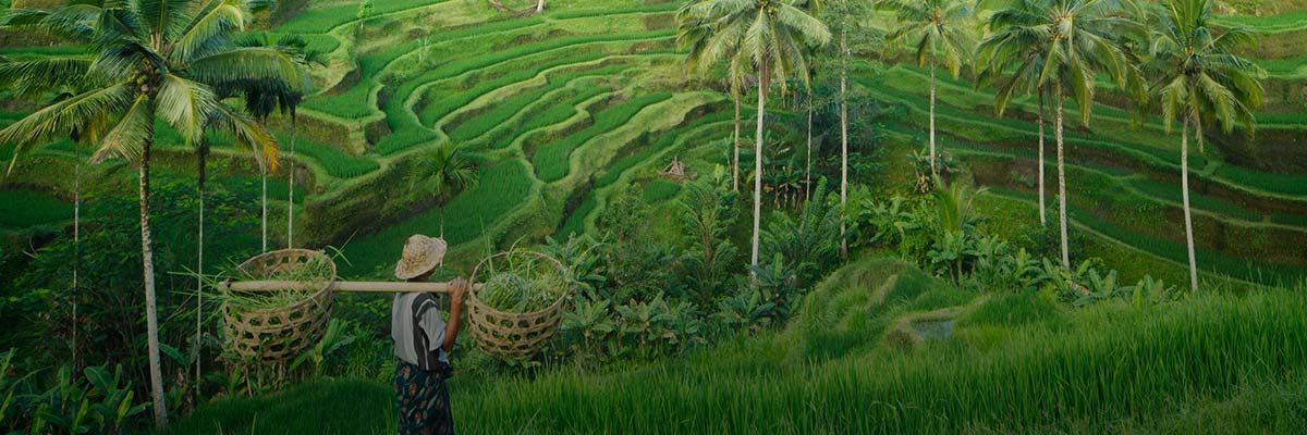 Three Ways Business Is Combating Modern Slavery hero image