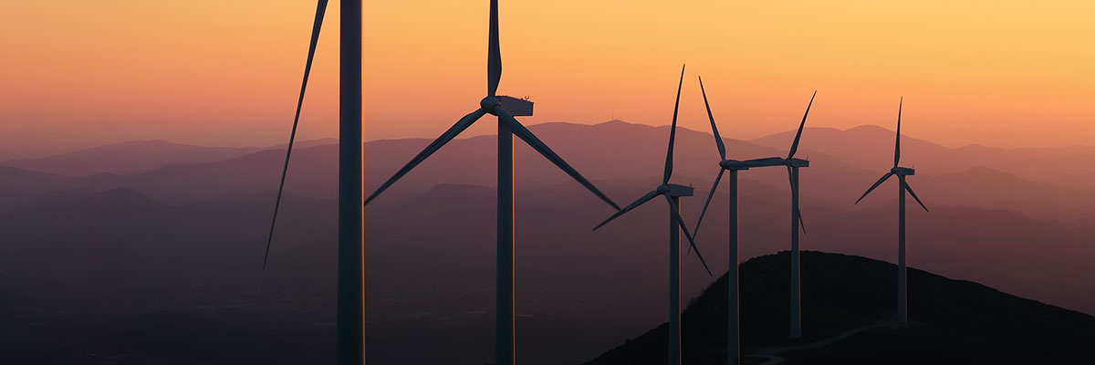 Corporate Climate Advocacy on the Road to COP26 hero image