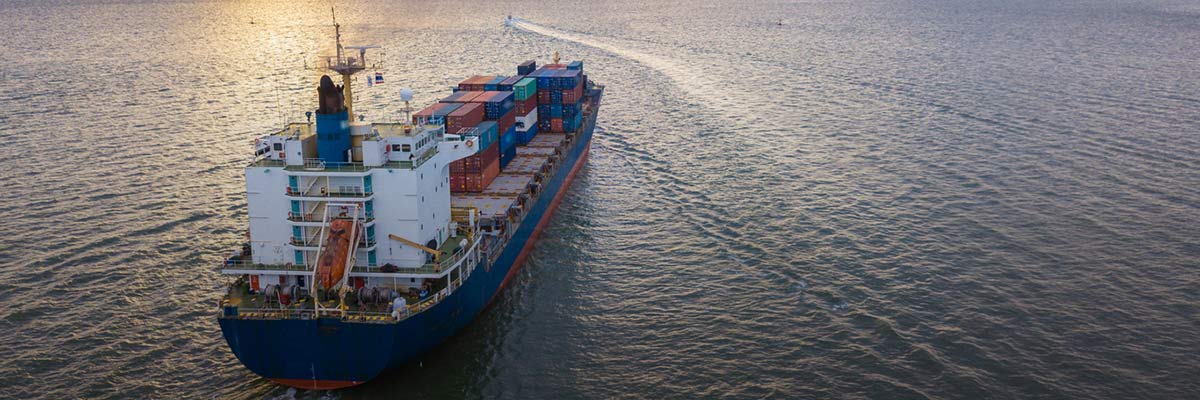 If Corruption Is a Cancer, How Do We Cure It? Lessons for International Anti-Corruption Day hero image