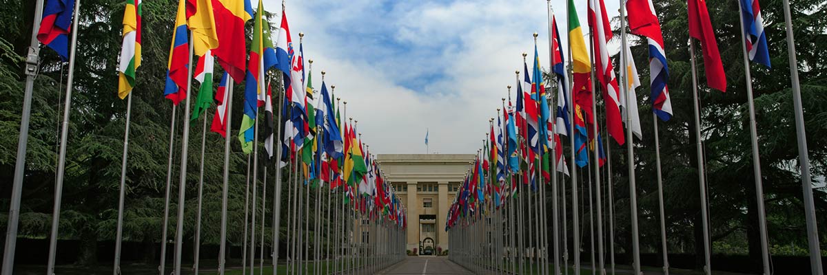 Human Rights Day 2019: BSR Reflections on the UN Forum on Business and Human Rights hero image