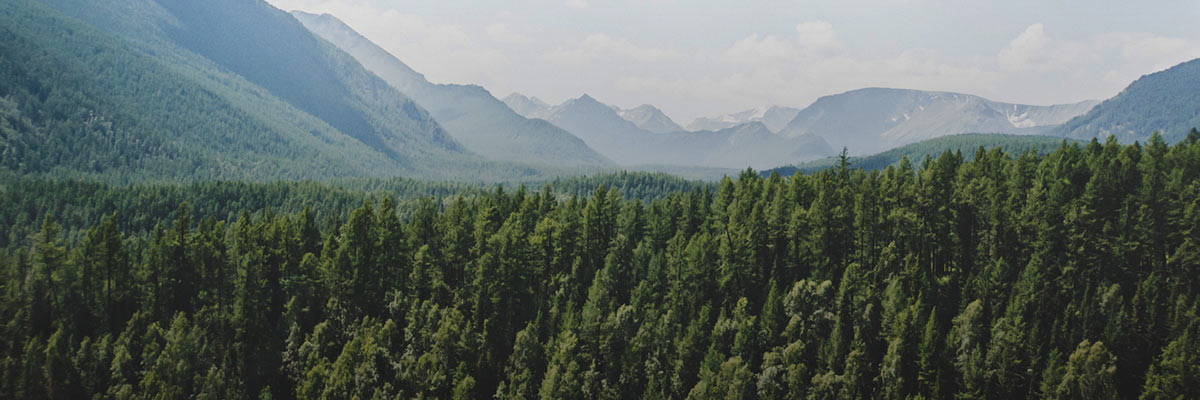 Climate Risk Management in the Decisive Decade (Asia-Pacific) hero image