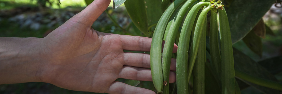 Blockchain through the Whole Supply Chain: Traceability Builds Business Resilience hero image