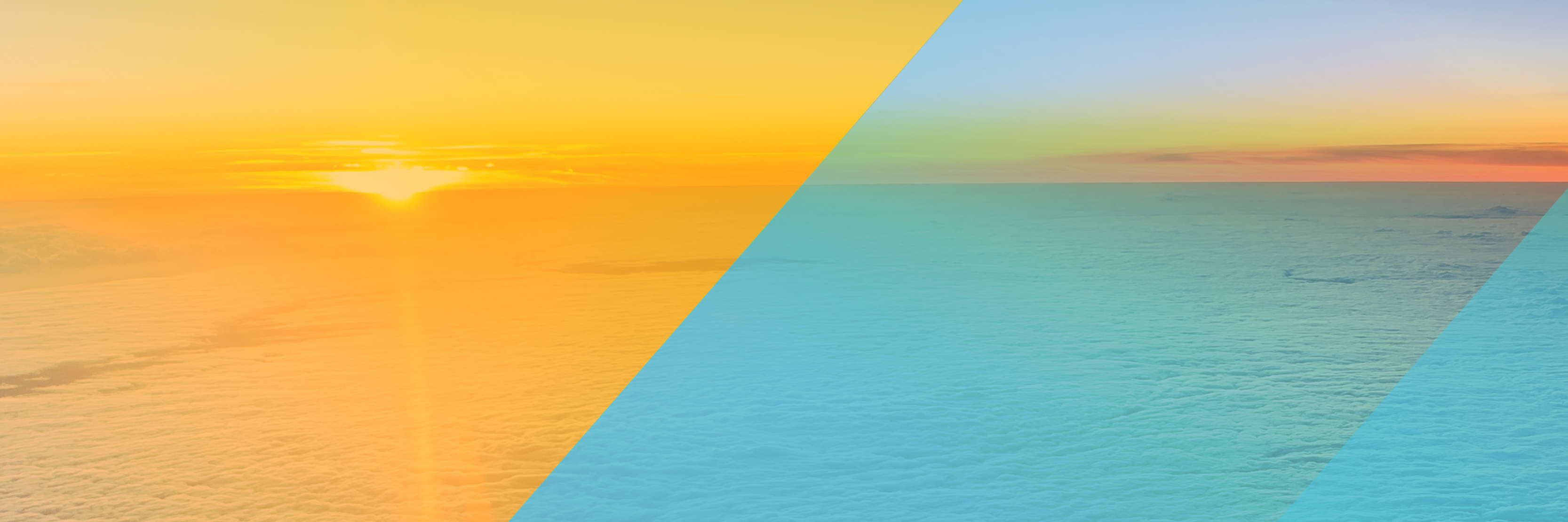 BSR Conference 2020 hero image