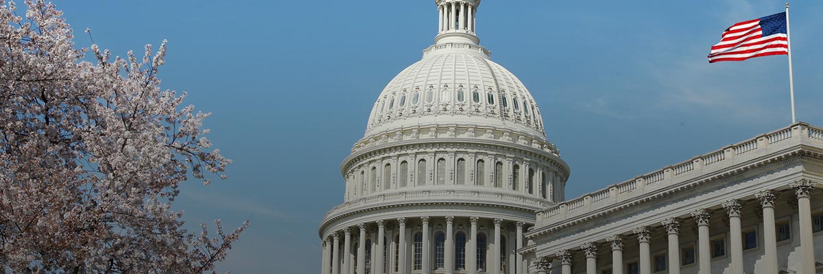 The Private Sector and the 2023 Summit for Democracy: A Preview hero image