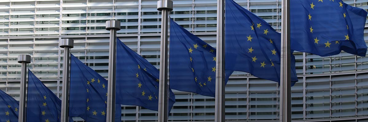 How Companies Are Preparing For the EU’s Upcoming Legislation on Mandatory Due Diligence hero image