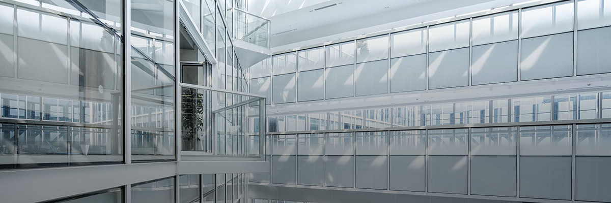 Double and Dynamic: How to Enhance the Value of Your Materiality Assessment hero image