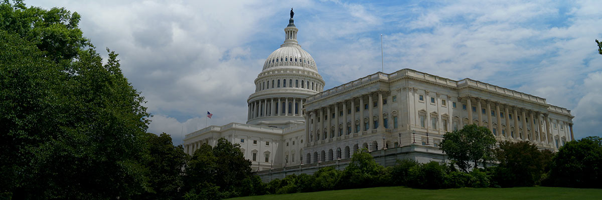 Voting Rights and Business: How Your Company Can Take Action and Protect the Vote hero image