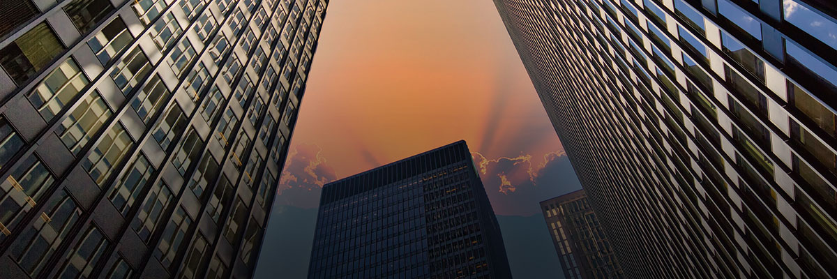 Dynamic Materiality: How Companies Can Future-Proof Materiality Assessments hero image