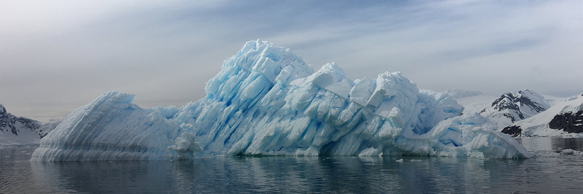 Reuters IMPACT hero image