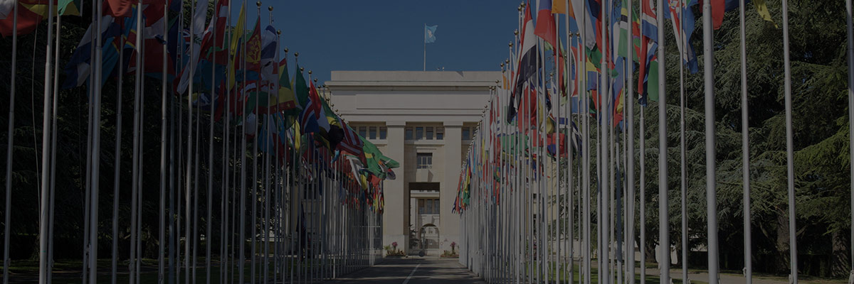 Applying the UNGPs to Technology: Our Point of View hero image