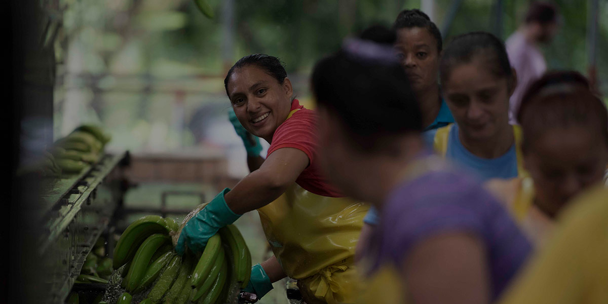Womens Empowerment: Empowering Women Fruit Farmers with Digital Training