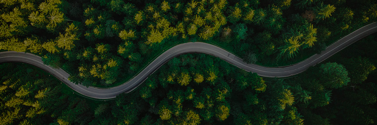 Turning Ambition into Action: Principles That Guide BSR’s Work hero image