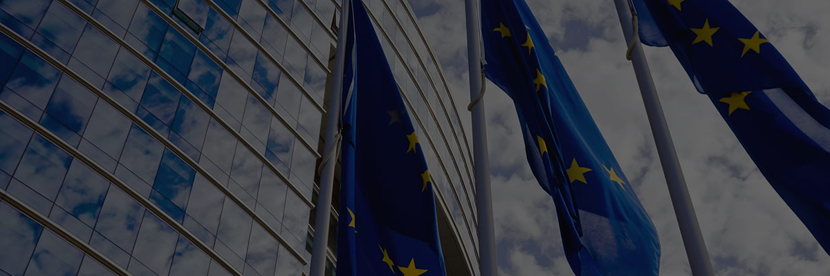 Activating Directors on Sustainability: Six Questions for Your Board hero image