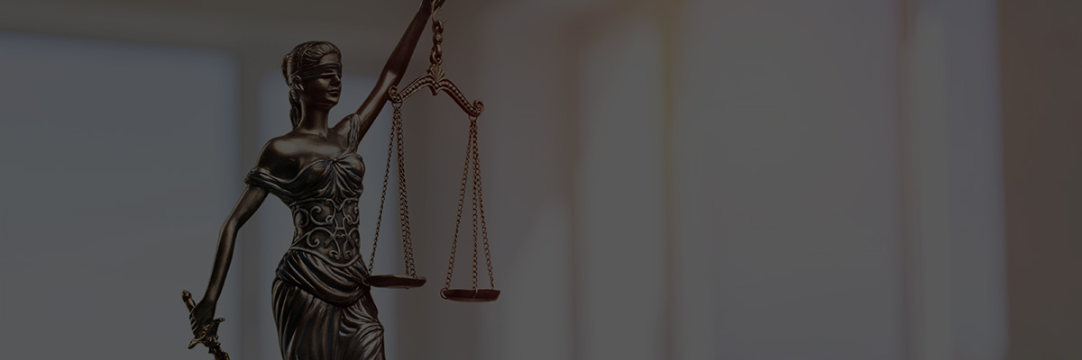 A Business Approach to Reinforcing Democracy hero image