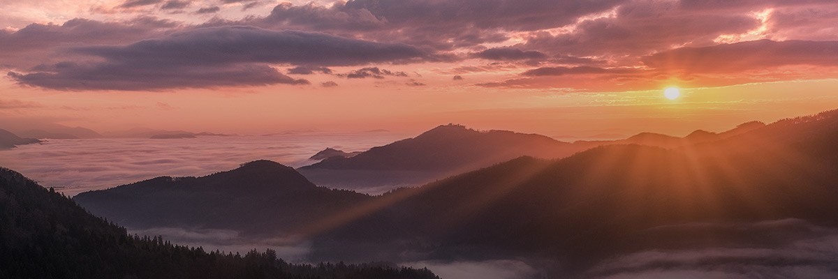 2022: Purposeful Sustainability Leadership for Turbulent Times hero image