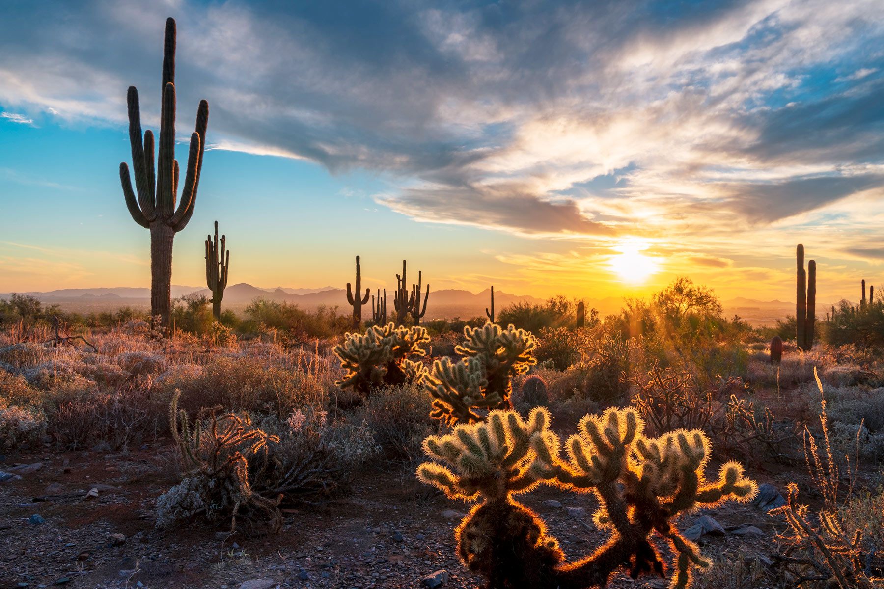 Integrating Climate Justice into Business Transformation, Part 1 hero image