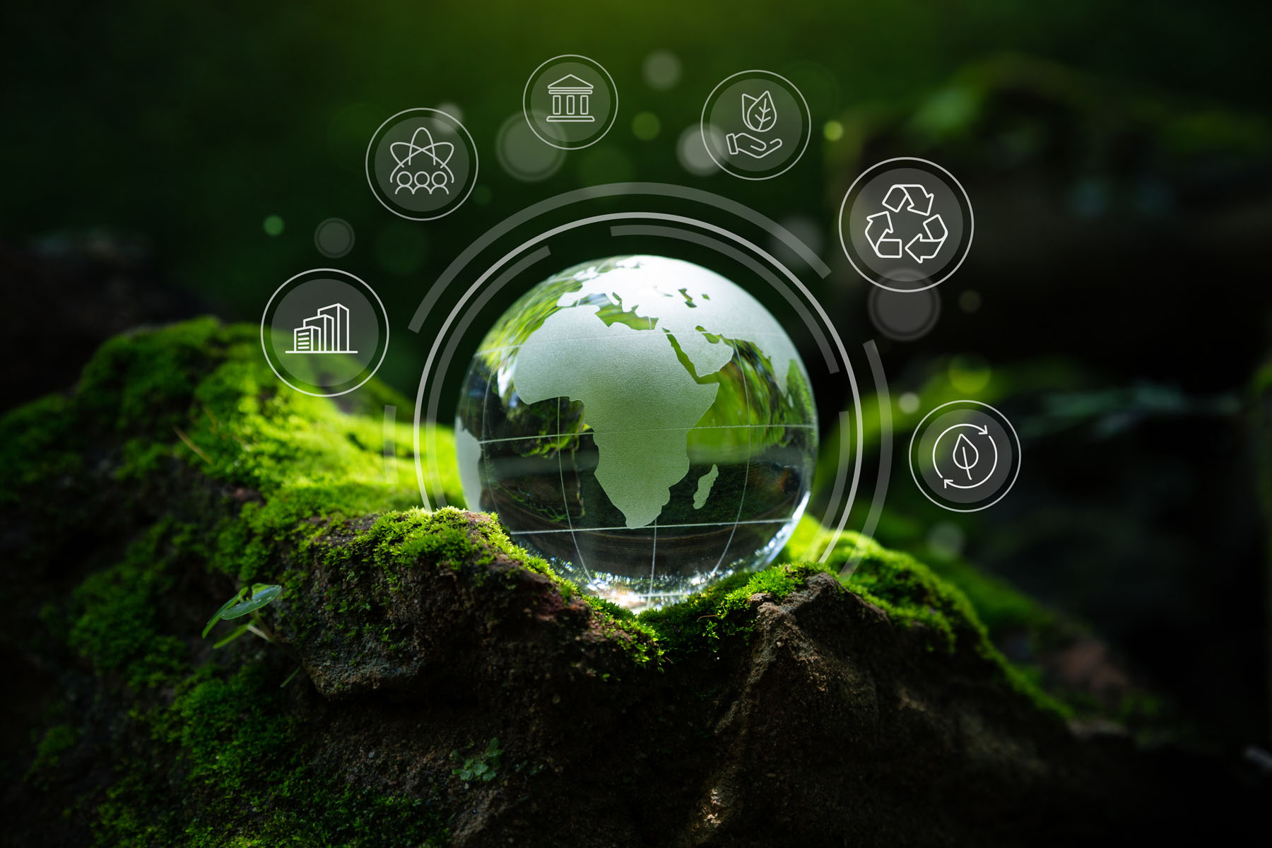 ESG Scenarios: Leading Sustainability in a New Context  hero image