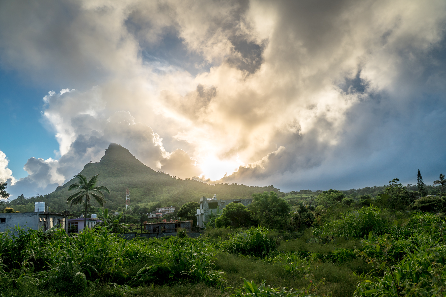 Three Business Initiatives That Advance Climate Justice , hero image