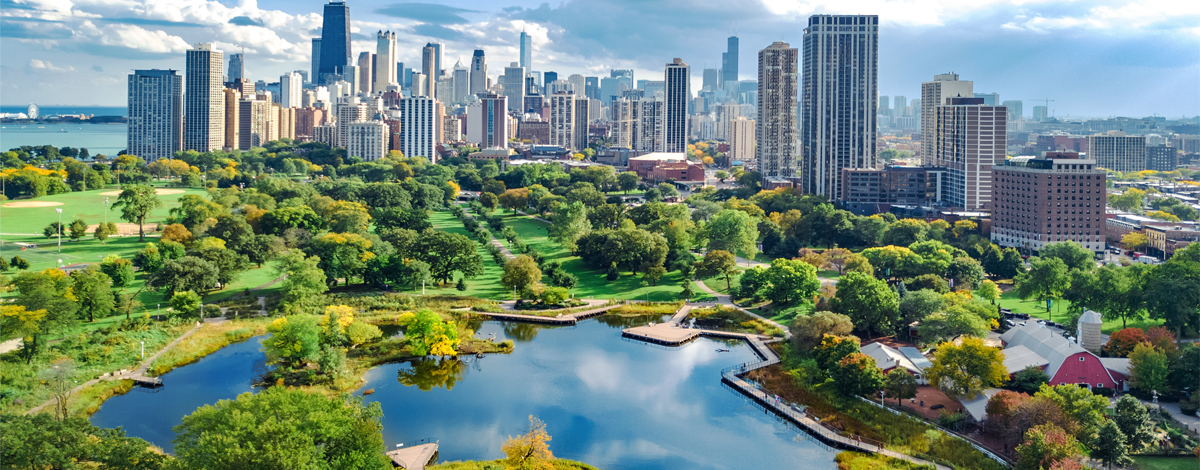 Climate Transition Plans: An Introduction to a Fast-Moving Landscape (Americas) hero image