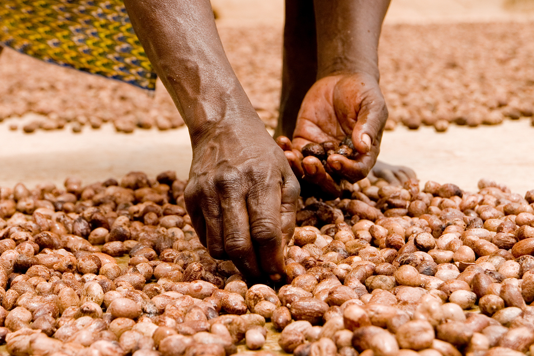 Investing in Women Workers: How Training has Helped Build Financial Resilience in Shea Supply Chains hero image