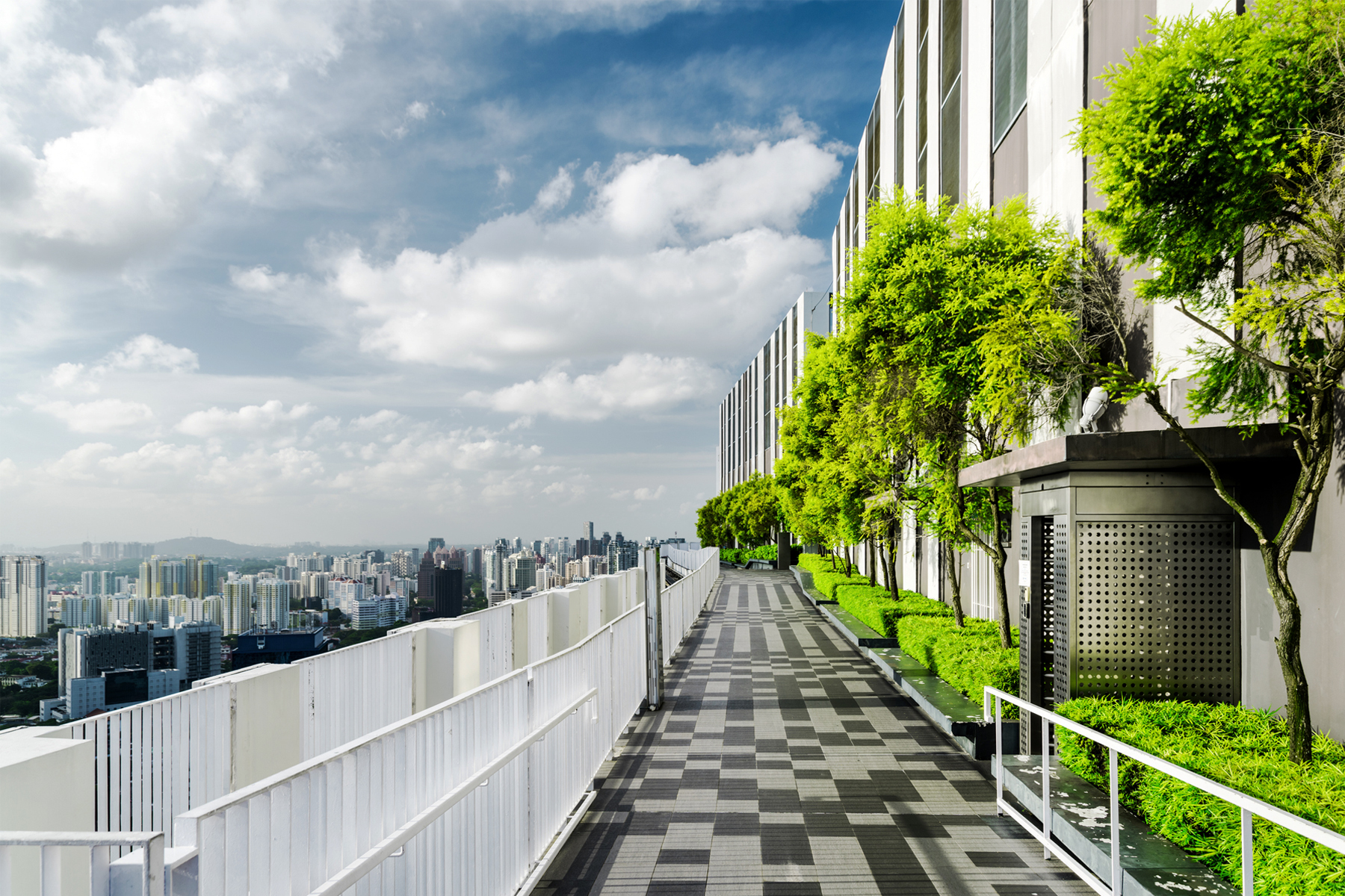 Advancing a Just Transition: Lessons from Company Practices hero image