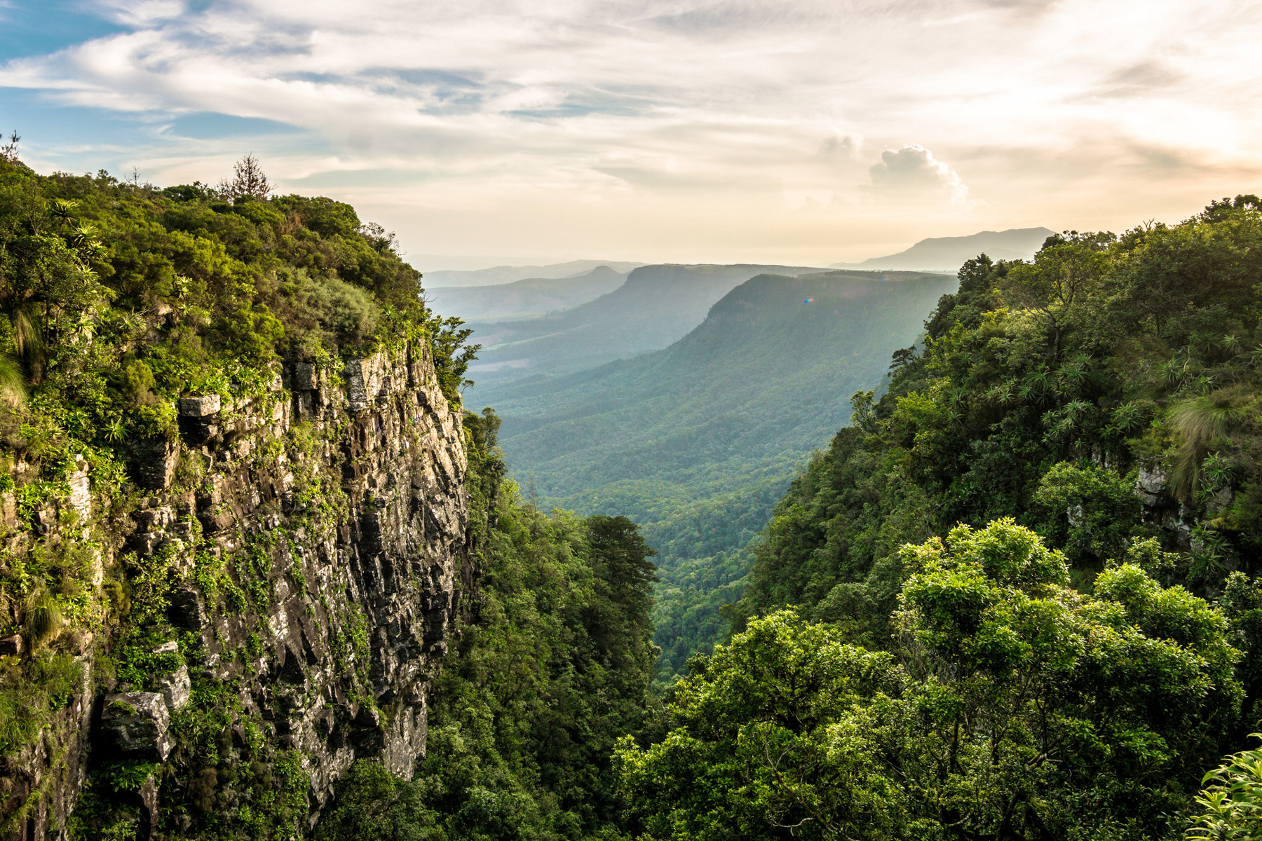 Is Your Company Ready for TNFD? hero image