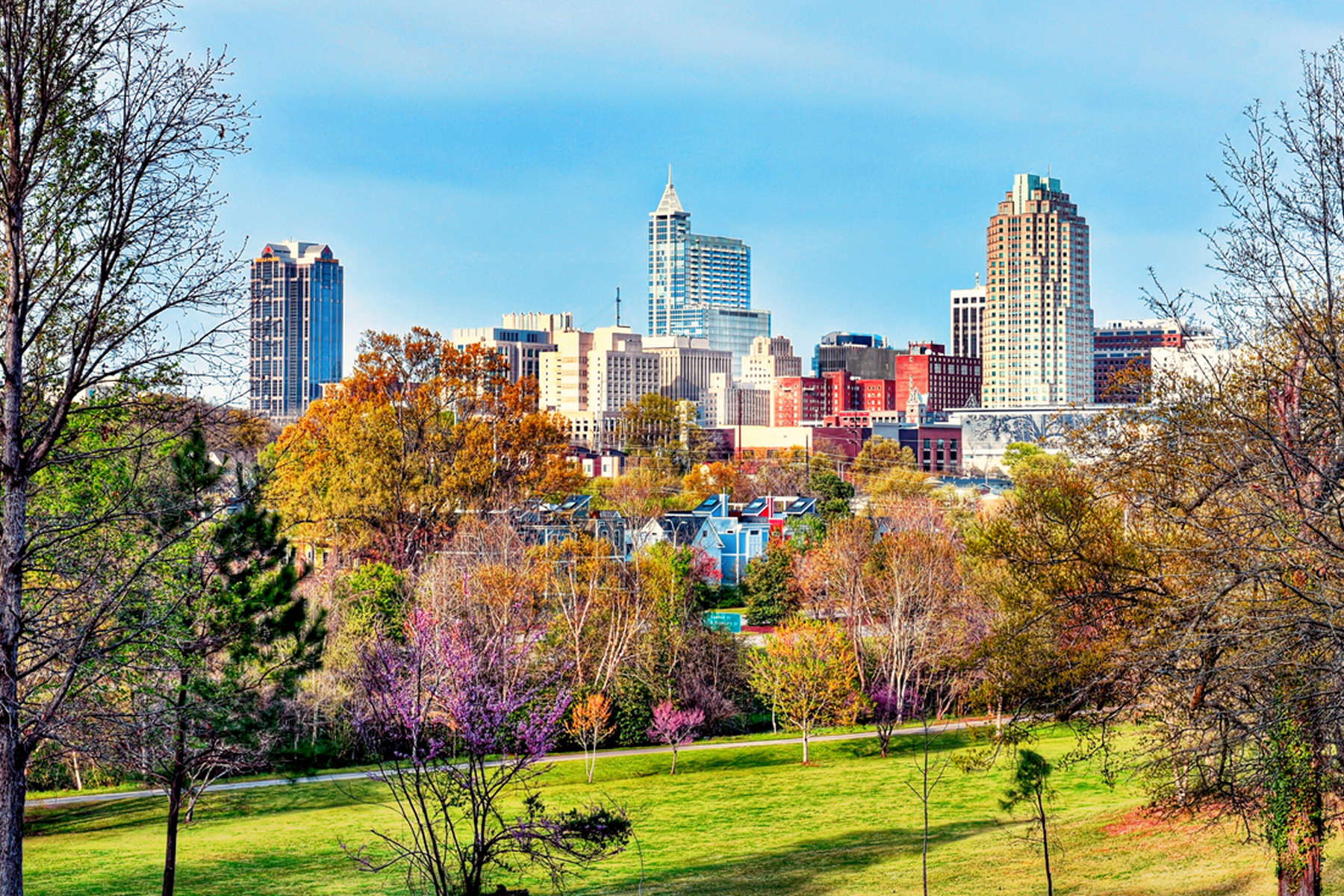 Corporate Sustainability Governance Fitness Test: Three Actions for Leaders hero image