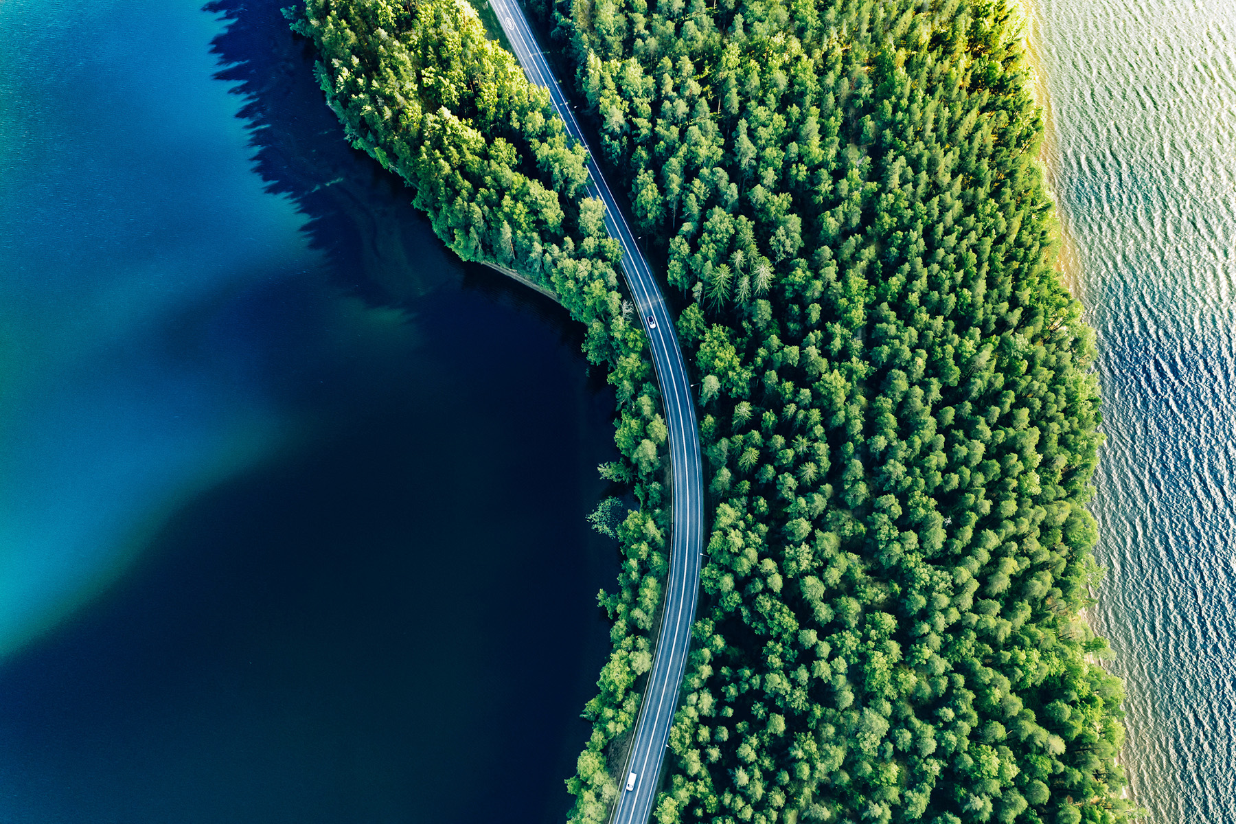 From Strategy to Action: Integrating Carbon Removal Solutions into Corporate Net-Zero Strategies hero image