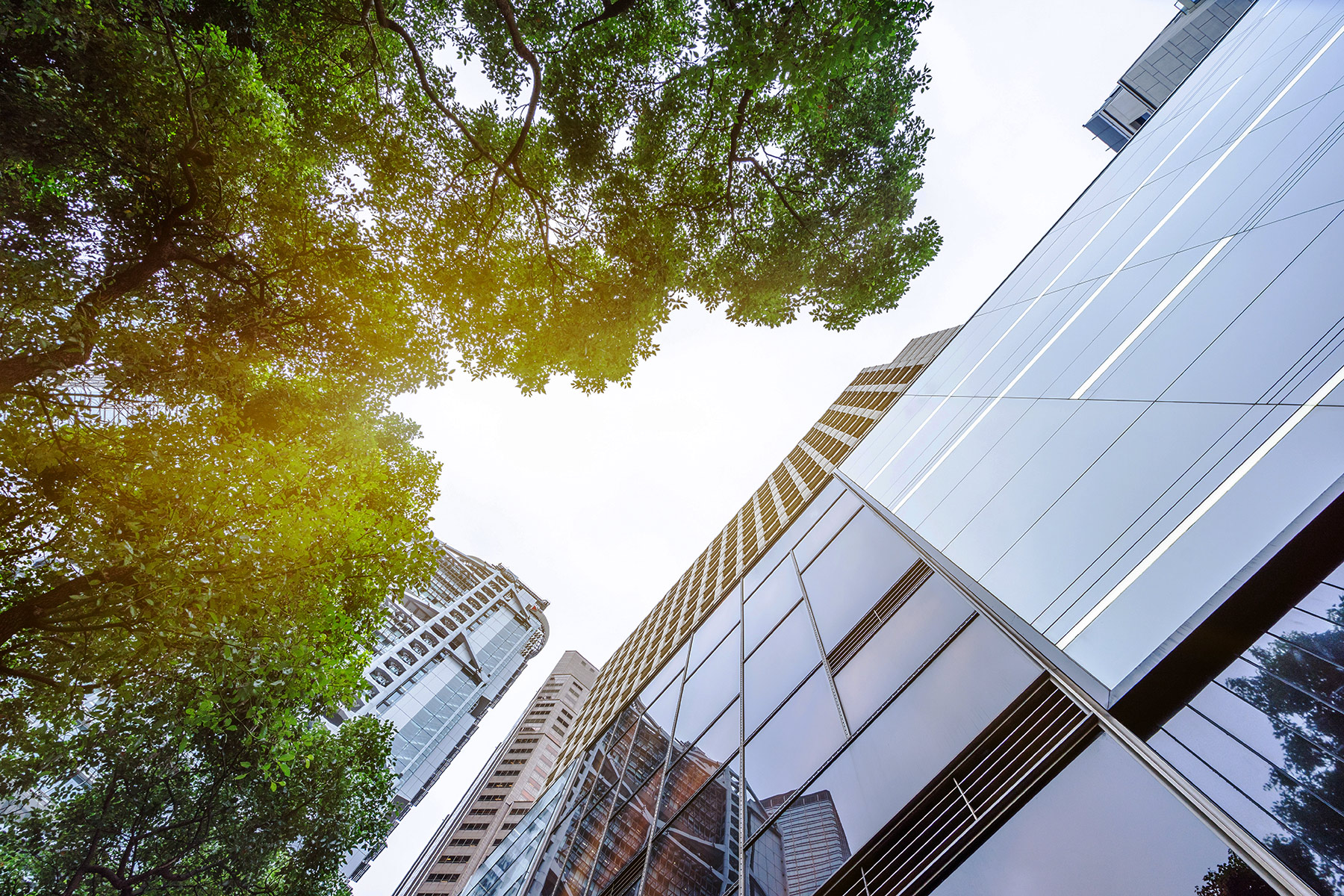 Business Value of Sustainability: Trajectory and Strategies hero image