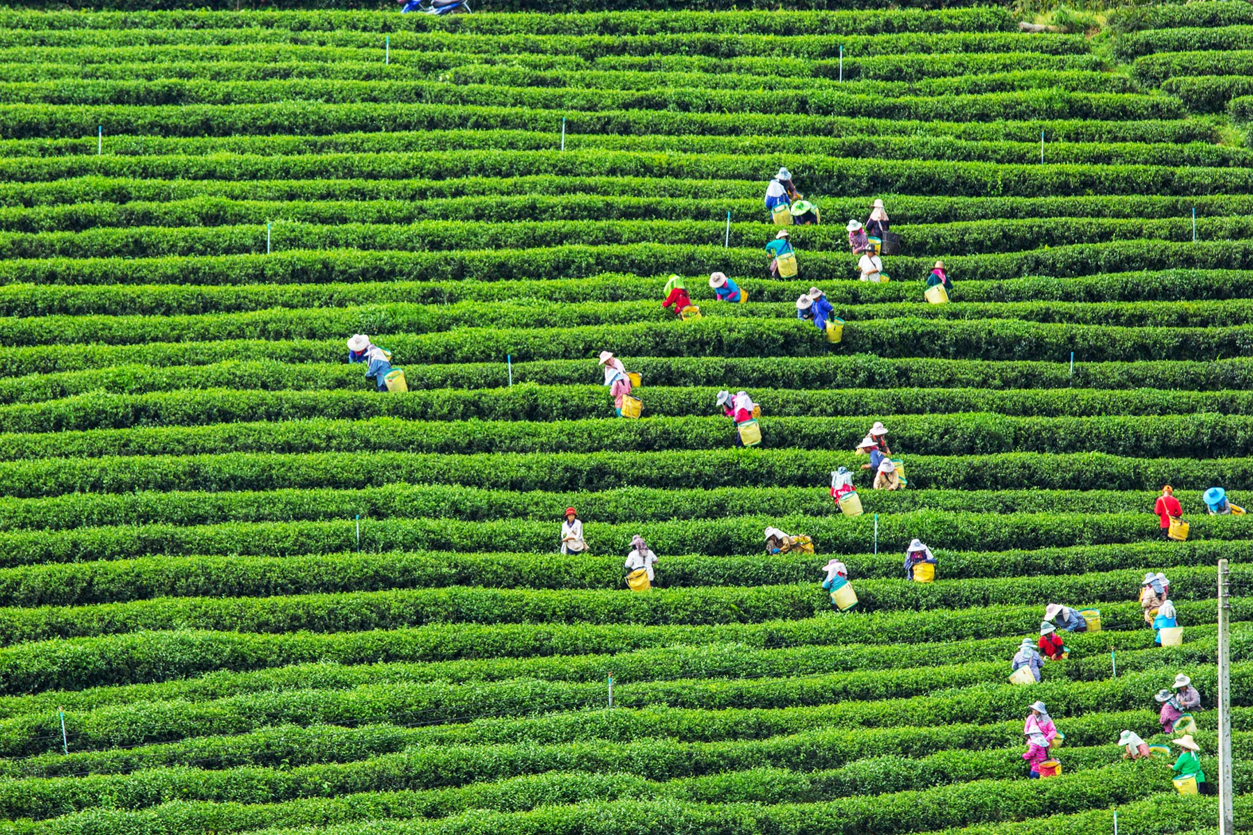 EU CSDDD Finalized: Key Due Diligence Expectations Remain Intact hero image