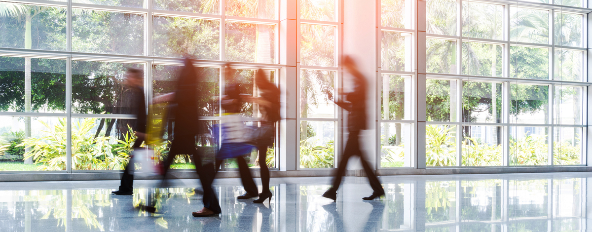 The Changing Role of the Chief Sustainability Officer  hero image