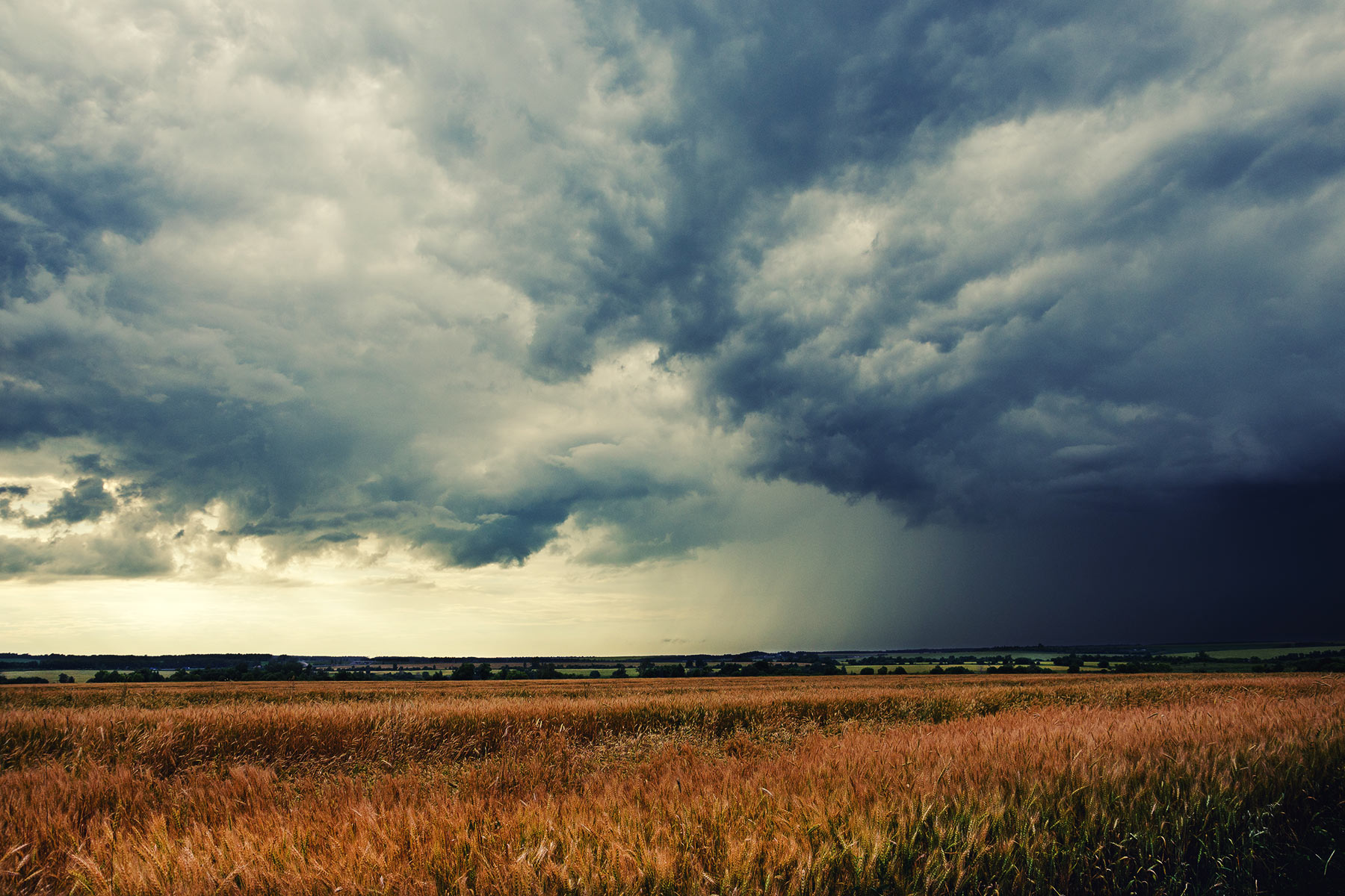 A Year of Uncertainty: Ten Big Questions Facing Sustainable Business Leaders in 2025 hero image