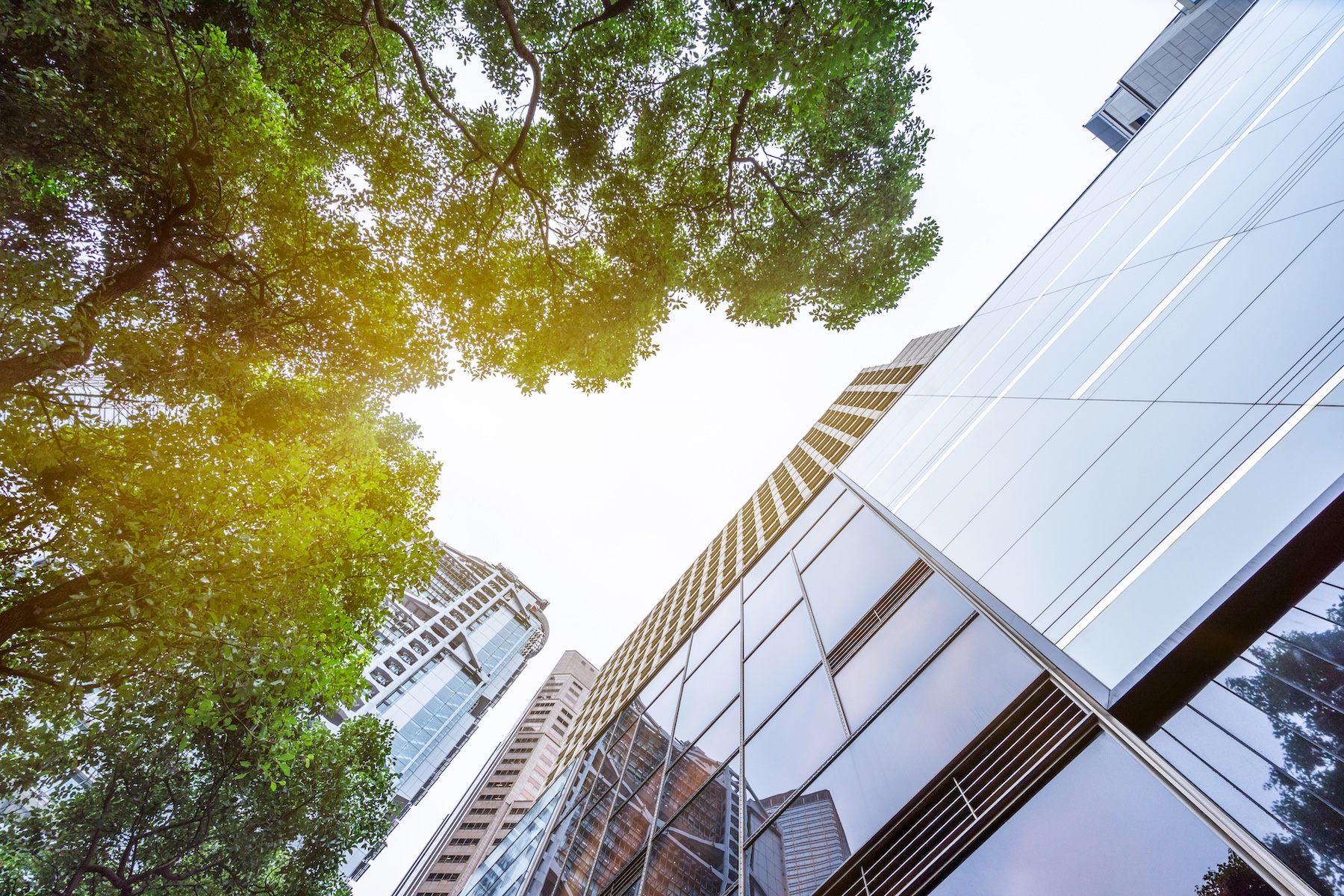 Communicating the Business Value of Sustainability | BSR and GlobeScan hero image