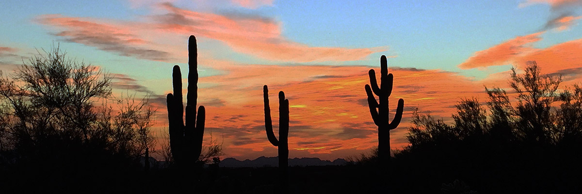 GreenBiz 2016 hero image