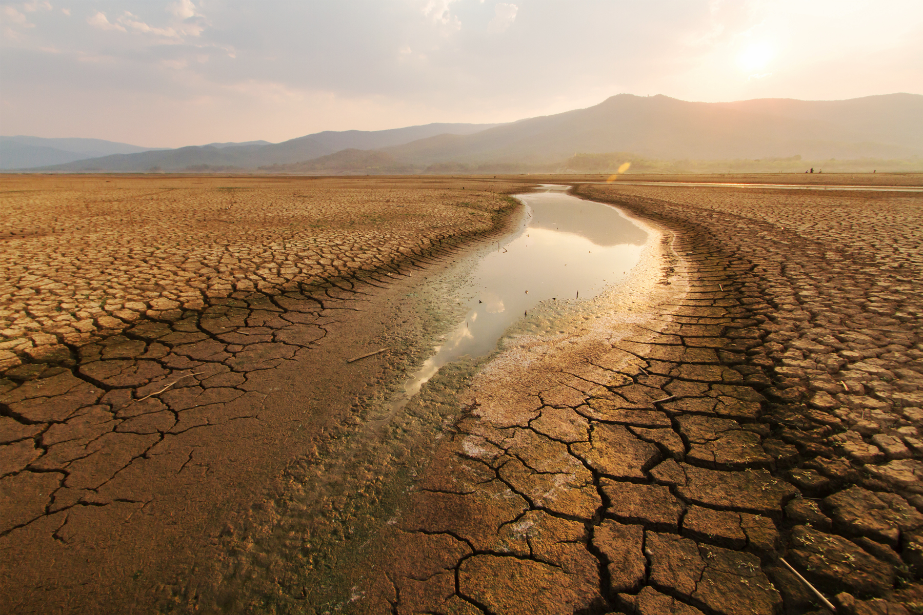 How Businesses Can Address the Water Scarcity Crisis, hero image
