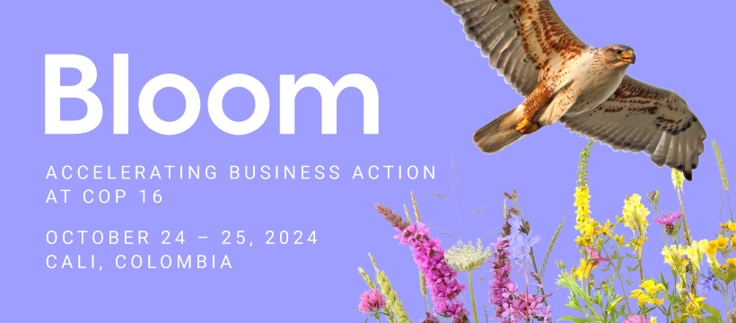 GreenBiz Bloom24 hero image