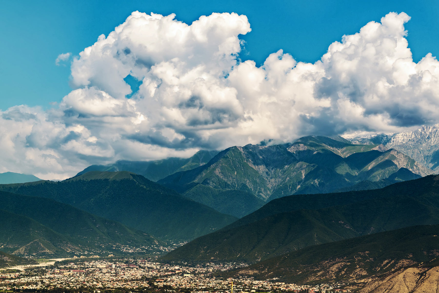 BSR at COP29 hero image