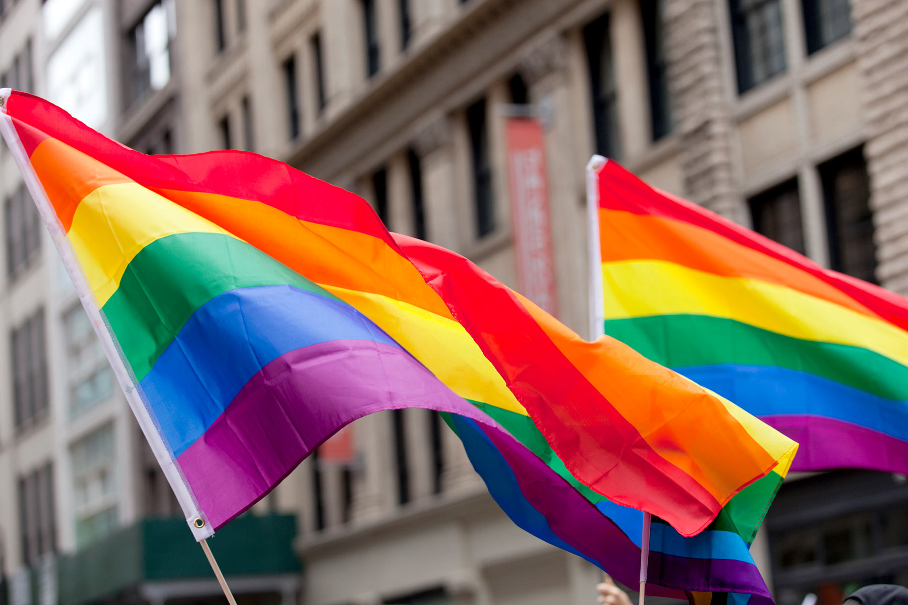 Partnership for Global LGBTIQ+ Equality hero image