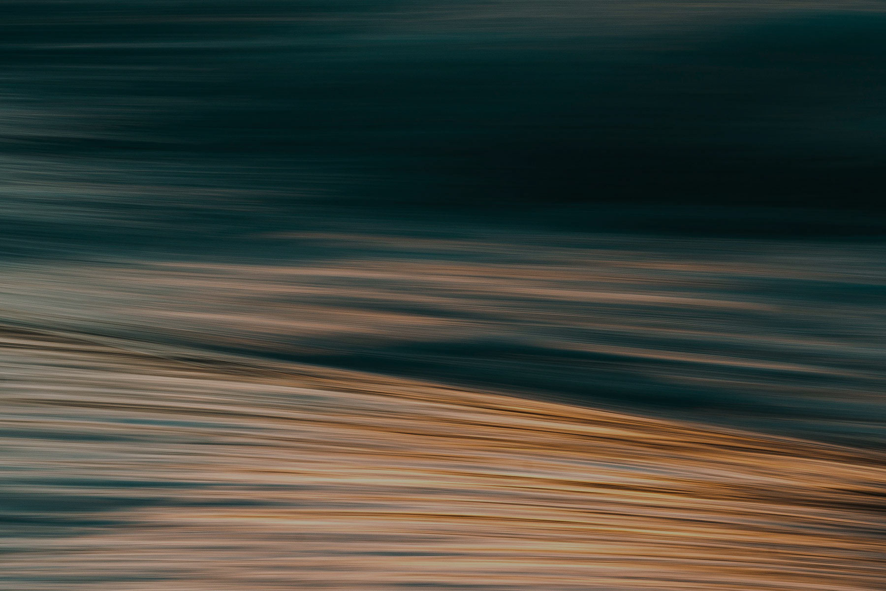 Introducing The Fast Forward: BSR’s Emerging Issues Update hero image