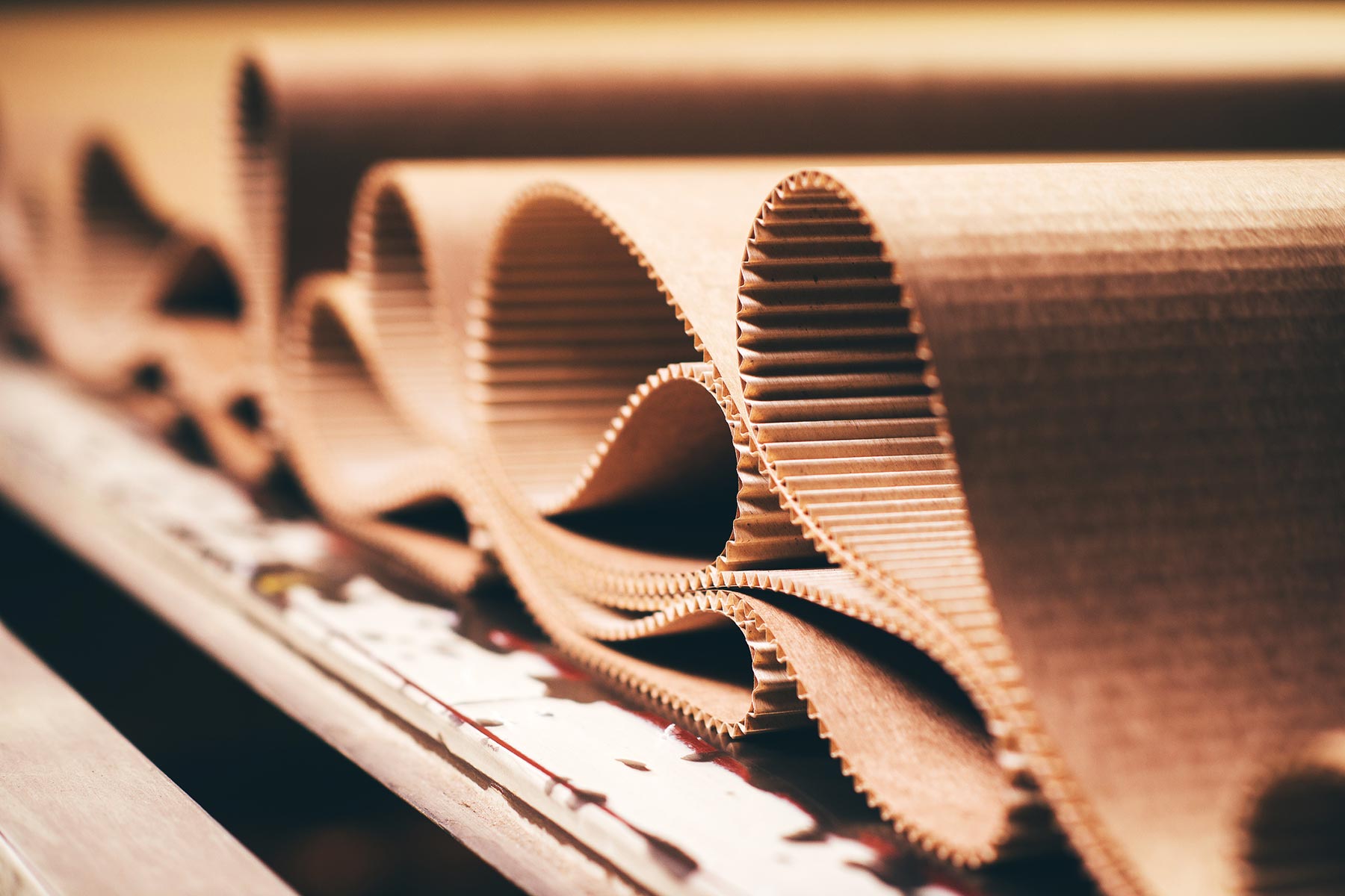 Co-Creating a Timber Coalition hero image