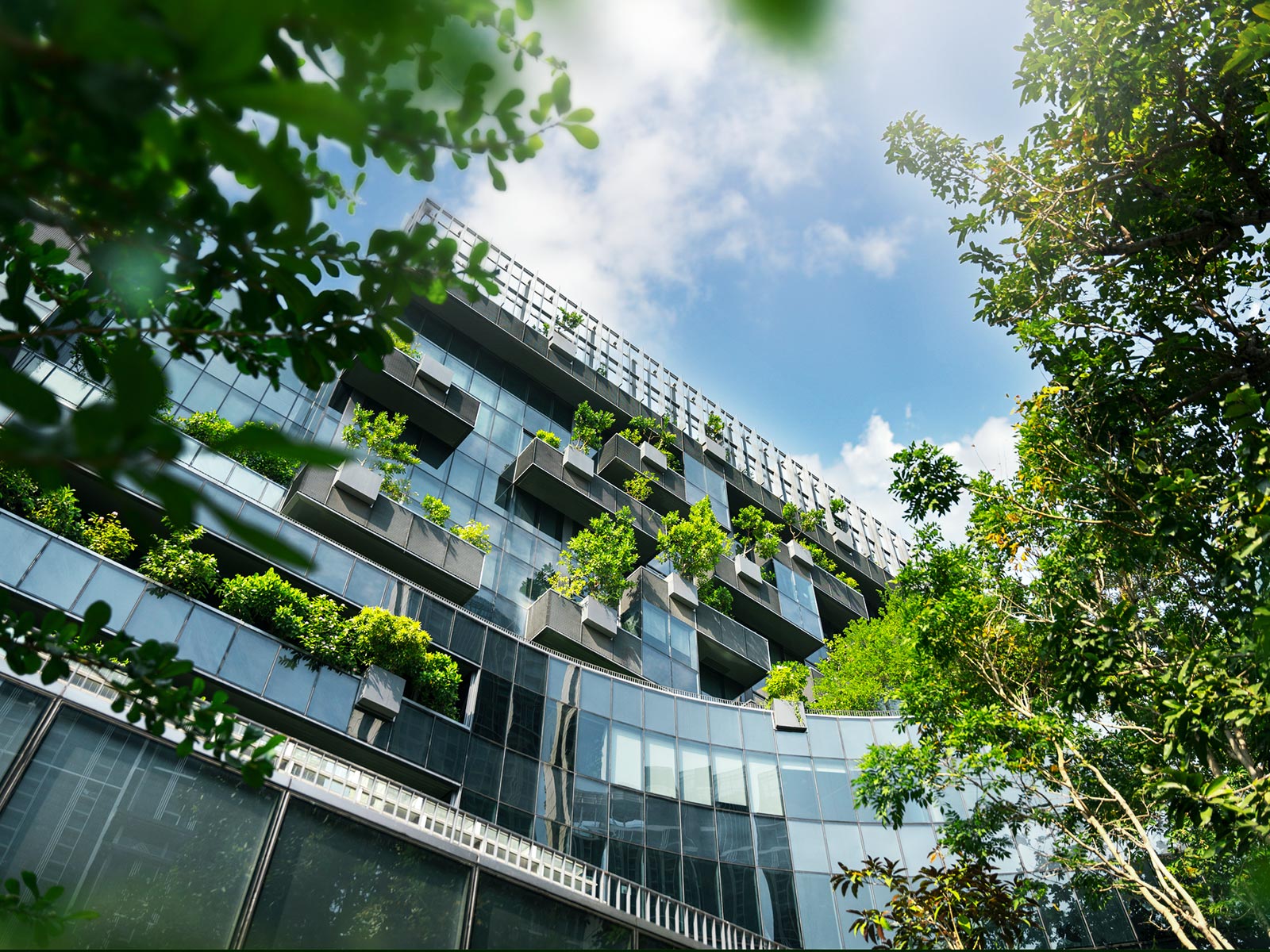 A More Pragmatic Era for Sustainability: Time to Act, hero image