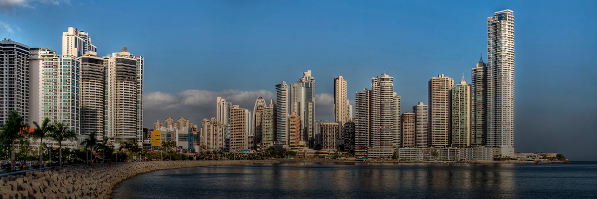 MACN Members Meeting hero image