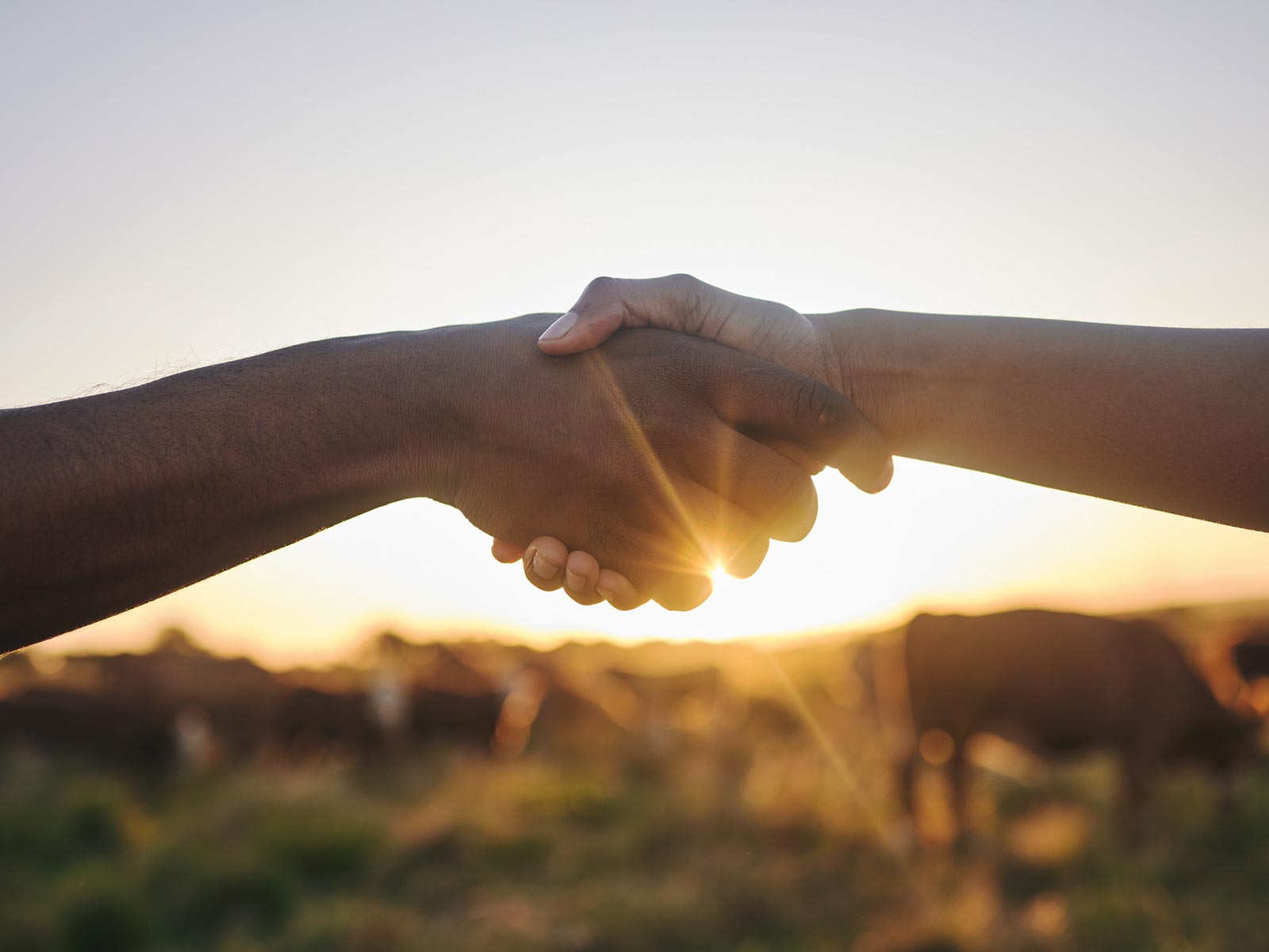 Supplier Engagement Strategies to Achieve Scope 3 Targets hero image