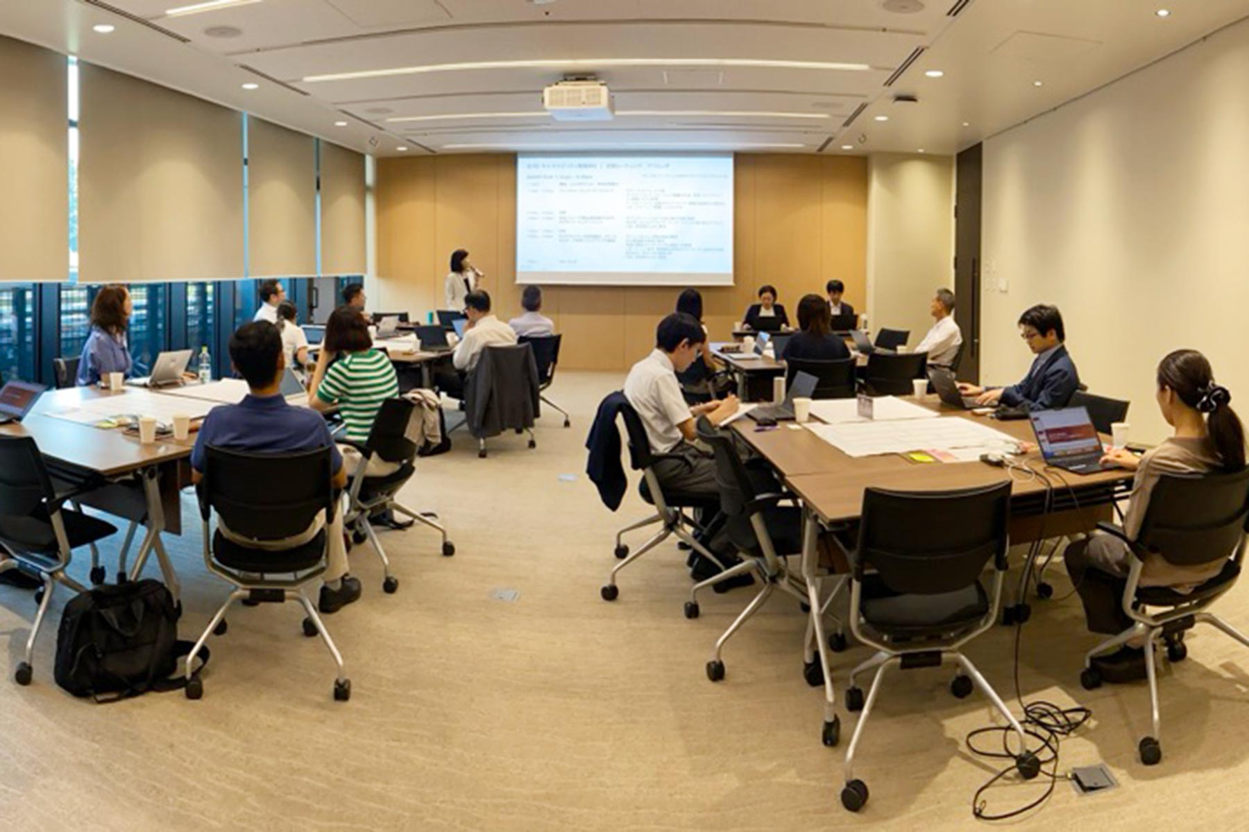 Third Sustainability Strategy Working Group Workshop, Japan hero image